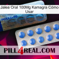 Jalea Oral 100Mg Kamagra Cómo Usar 40